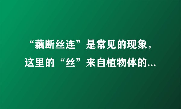 “藕断丝连”是常见的现象，这里的“丝”来自植物体的什么组织（　　）A．保护组织B．输导组织C．分生组