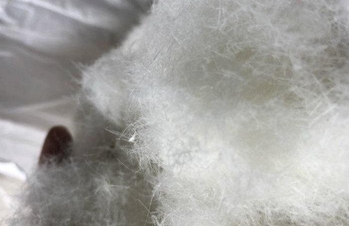 飞丝羽绒服的危害是什么？