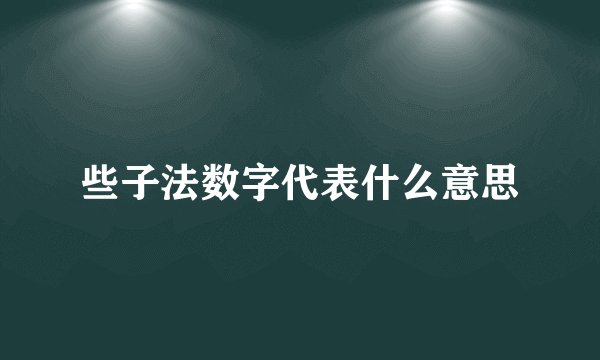 些子法数字代表什么意思