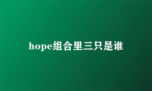 hope组合里三只是谁