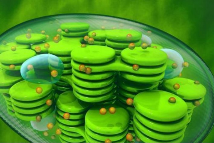 光合作用的能量变化