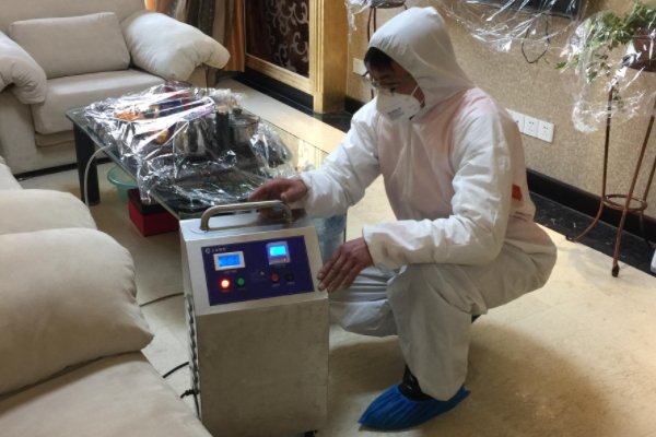 除甲醛公司哪家好