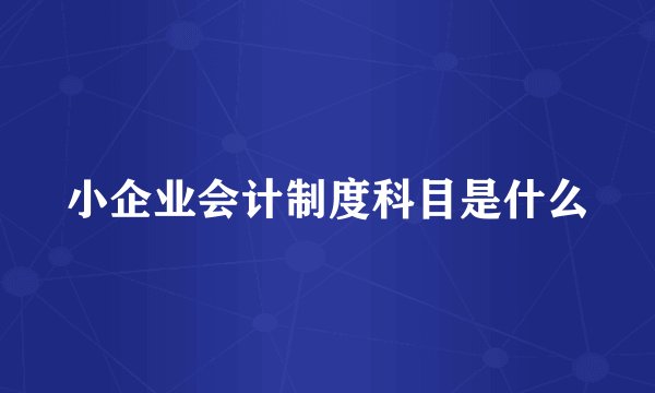 小企业会计制度科目是什么