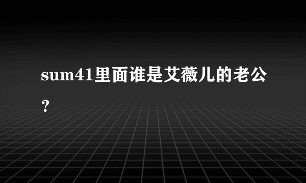 sum41里面谁是艾薇儿的老公？
