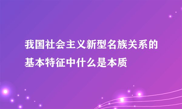 我国社会主义新型名族关系的基本特征中什么是本质