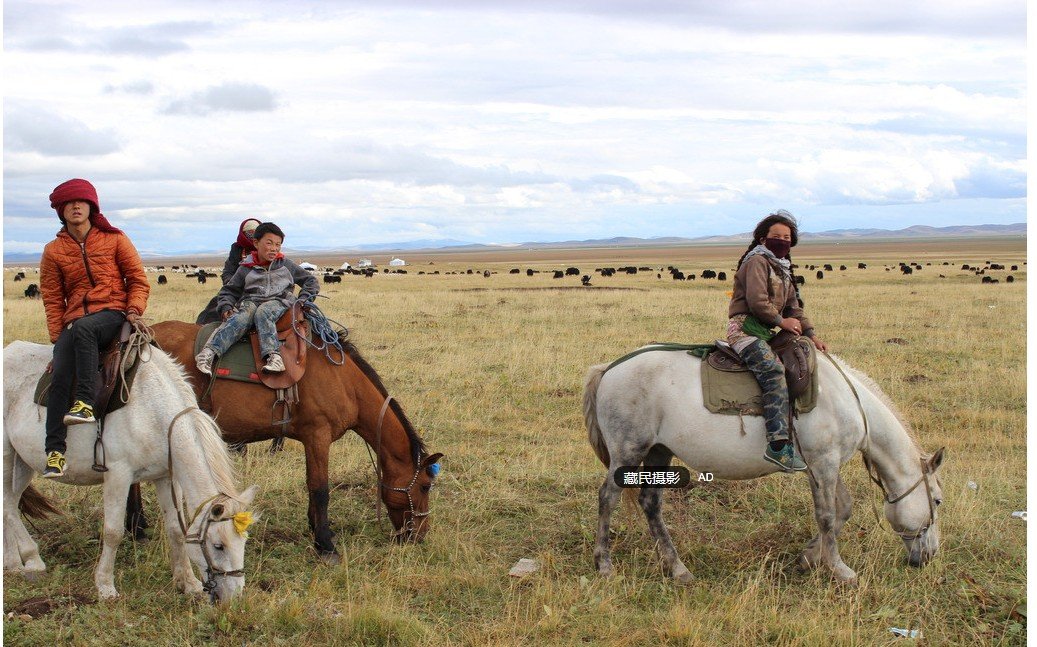 藏人和汉人外形有什么不同