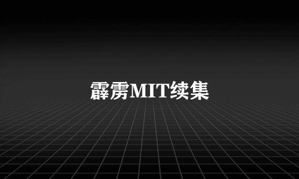 霹雳MIT续集