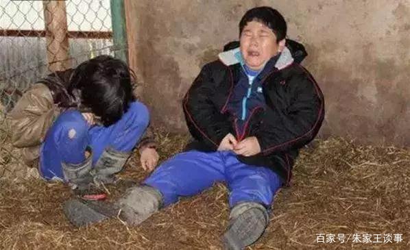 亲自养、亲自杀、亲自吃，日本最变态生命课，逼孩子吃养大的鸡，你怎么看？