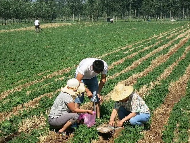 墒情怎么读什么意思