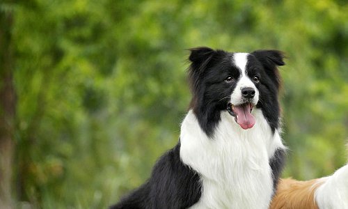 龙宝宝忌什么属相父母