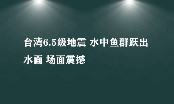 台湾6.5级地震 水中鱼群跃出水面 场面震撼