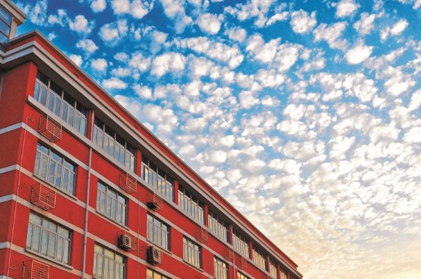 成安中学片区划分2023