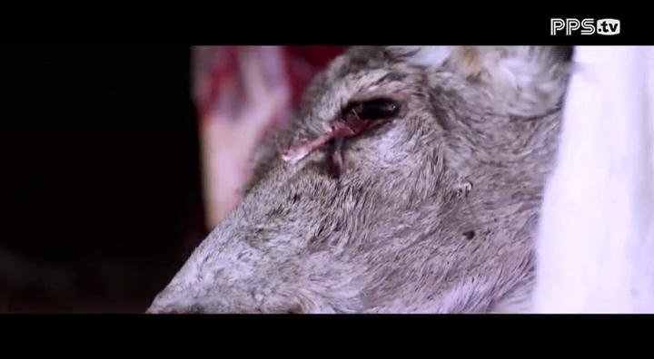 有一部电影，是美国的好像，然后有一个镜头，一个男的拿着一把枪在冰天雪地里追一个女孩，然后那女孩逃到