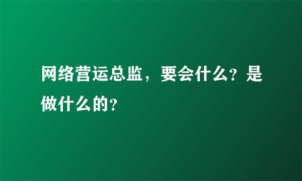 网络营运总监，要会什么？是做什么的？