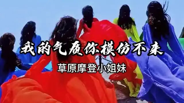 我的气质你模仿不来是什么歌