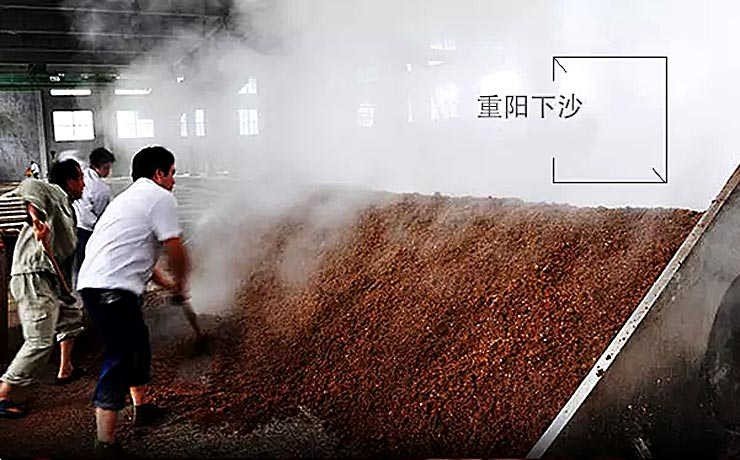 巽风重阳下沙的沙特指