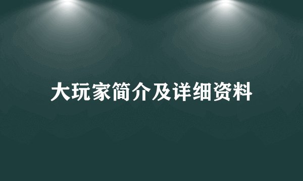大玩家简介及详细资料
