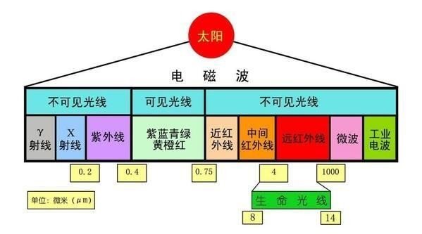 gamma ray 和紫外线有什么区别?
