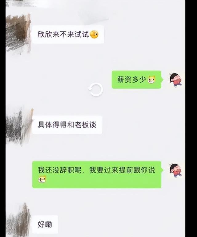 成都一女子投简历后发现HR是室友，这是怎样的缘分？