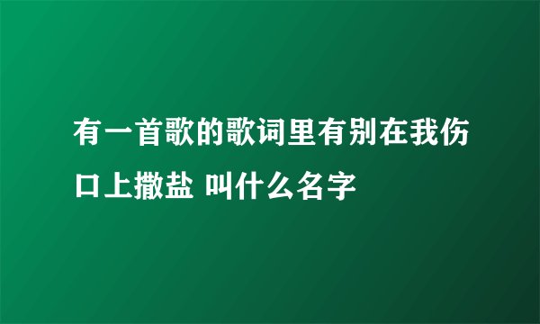 有一首歌的歌词里有别在我伤口上撒盐 叫什么名字