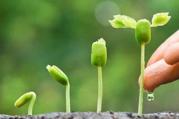 拱墅区教育局招生咨询电话