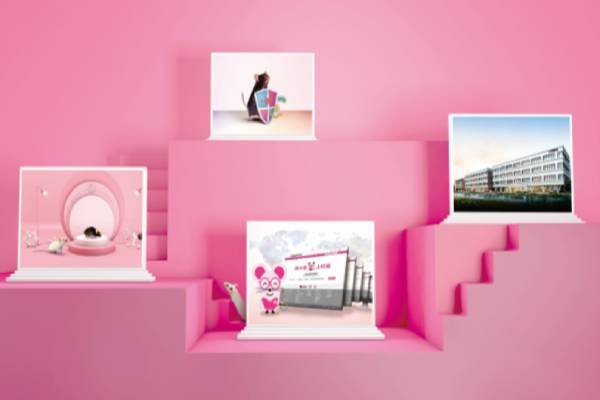 基因敲除小鼠大概多少钱一只