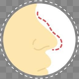 仿照22课《手指》的表达特点，从人的五官中选一个，写一段话，不少于200字？