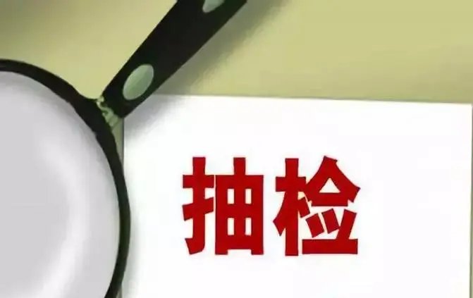 抽查的名词解释