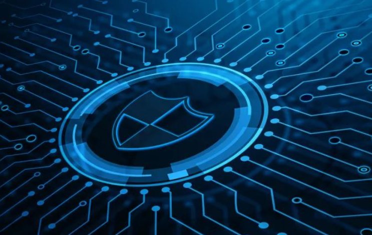 三级安全网络包括