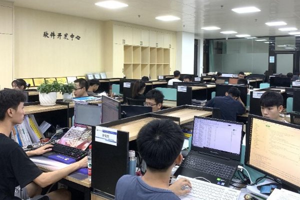 软件专业学什么课程