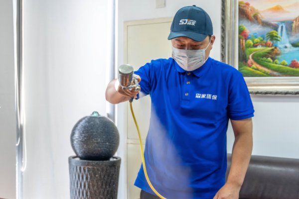 除甲醛公司哪家好