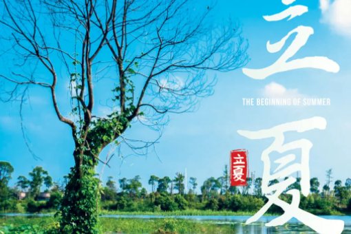 立夏看夏指的是什么意思