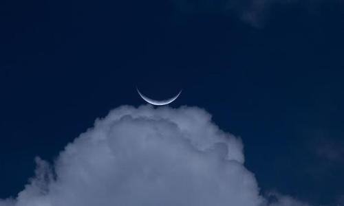 一瞥惊鸿温柔仙句有哪些？