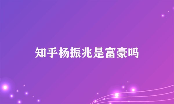 知乎杨振兆是富豪吗