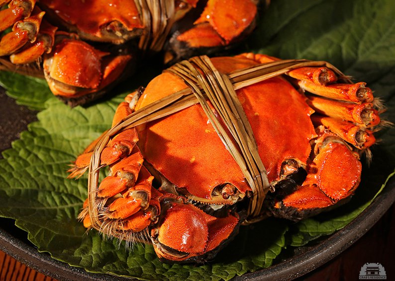 北京有阳澄湖大闸蟹礼卡兑换点吗？