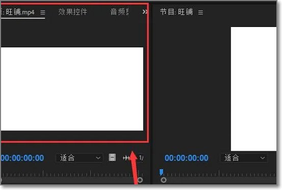 pr九尾狐正能量版如何使用？