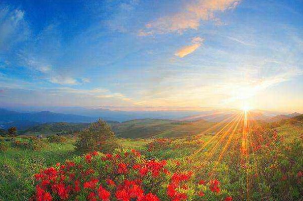 风暖曰丽打一生肖