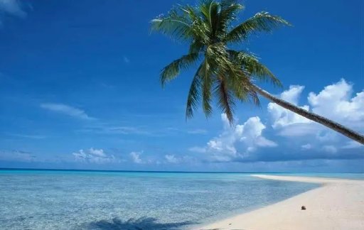 三亚旅行社排名前十名