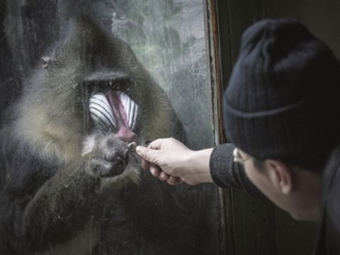 瓜子哥的事件处理