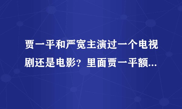 贾一平和严宽主演过一个电视剧还是电影？里面贾一平额头上有一个红点，做轮椅。貌似还和倾尽天下有关系…