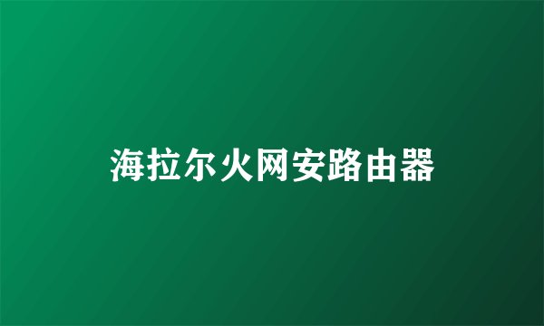 海拉尔火网安路由器
