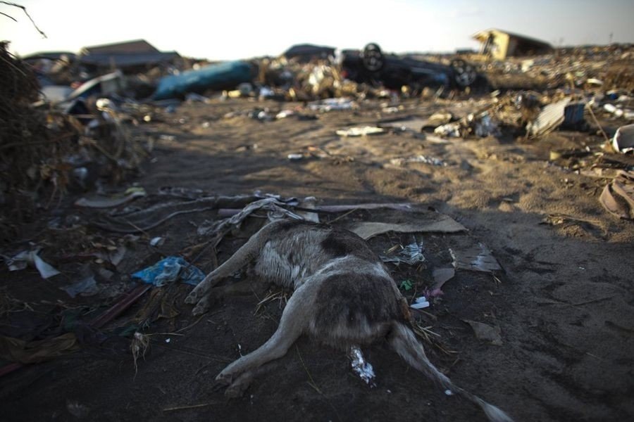 为什么福岛核泄漏貌似没有切尔诺贝利严重？