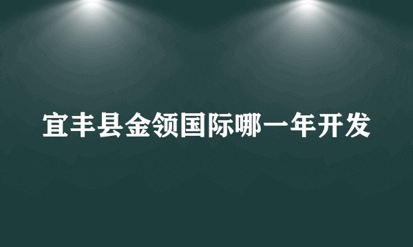 宜丰县金领国际哪一年开发