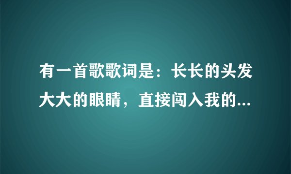 有一首歌歌词是：长长的头发大大的眼睛，直接闯入我的胸怀，是什么歌