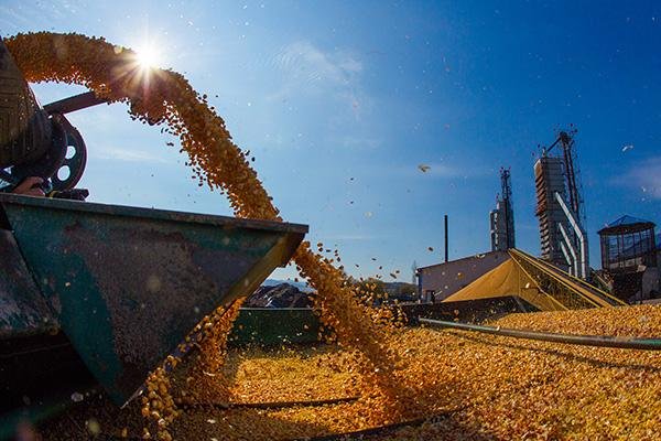 十七连丰是连续十七年丰收吗