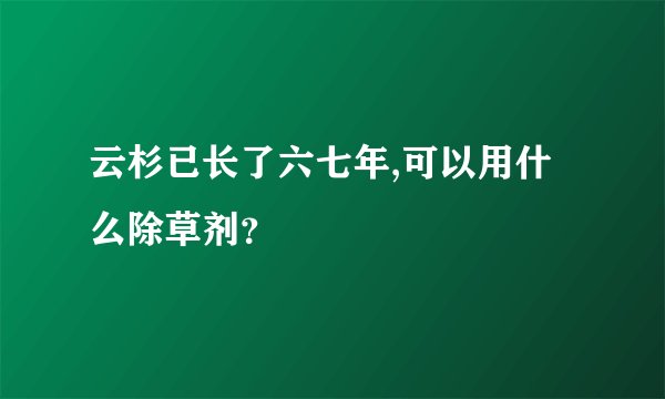 云杉已长了六七年,可以用什么除草剂？
