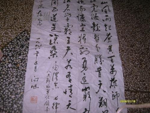 向旭的人物历史