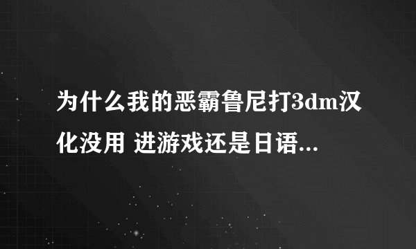 为什么我的恶霸鲁尼打3dm汉化没用 进游戏还是日语 求大神