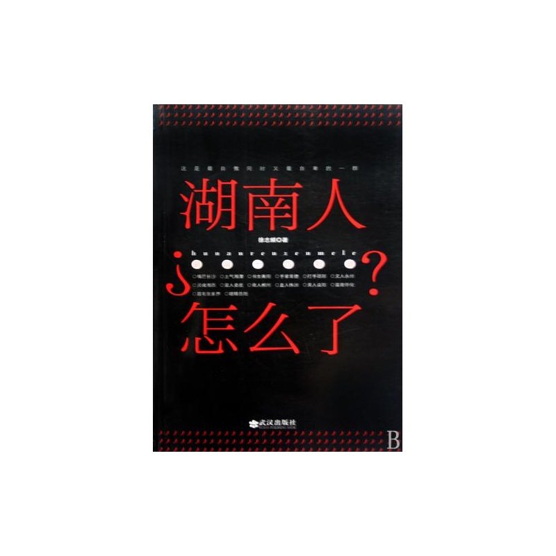 湖南人怎么了的简介