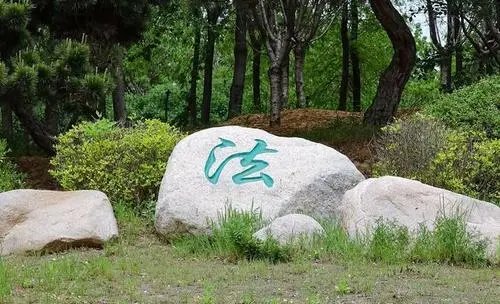 幼师多次用椅子压三岁幼儿，园方对此如何回应？